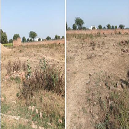 RAHMAT AGRO COMPANY-22052501